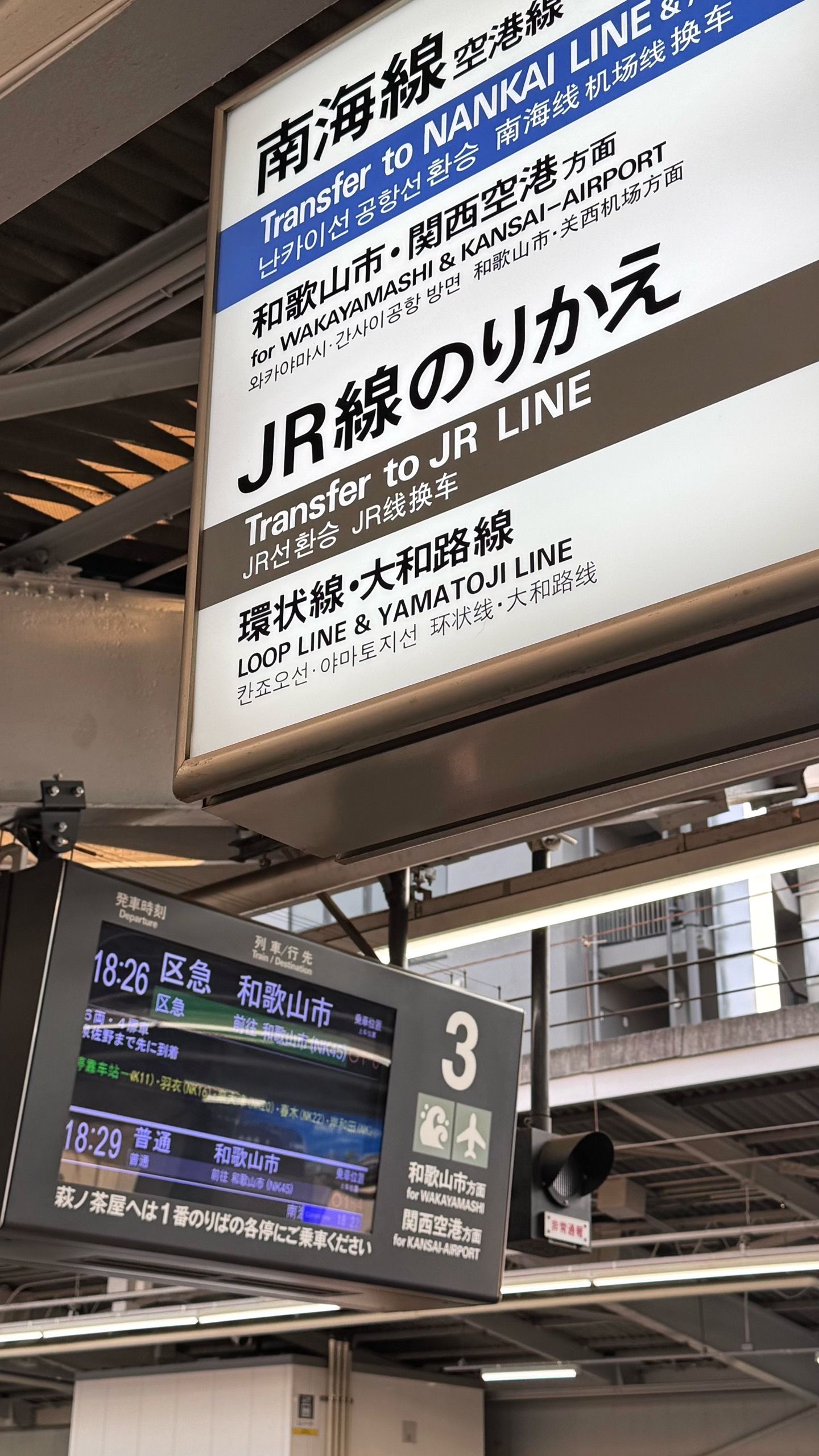IMG_4347.jpeg