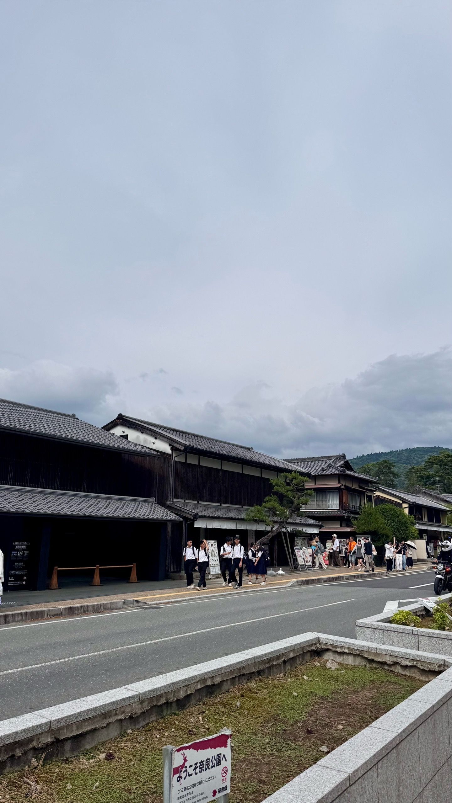 IMG_4399.jpeg