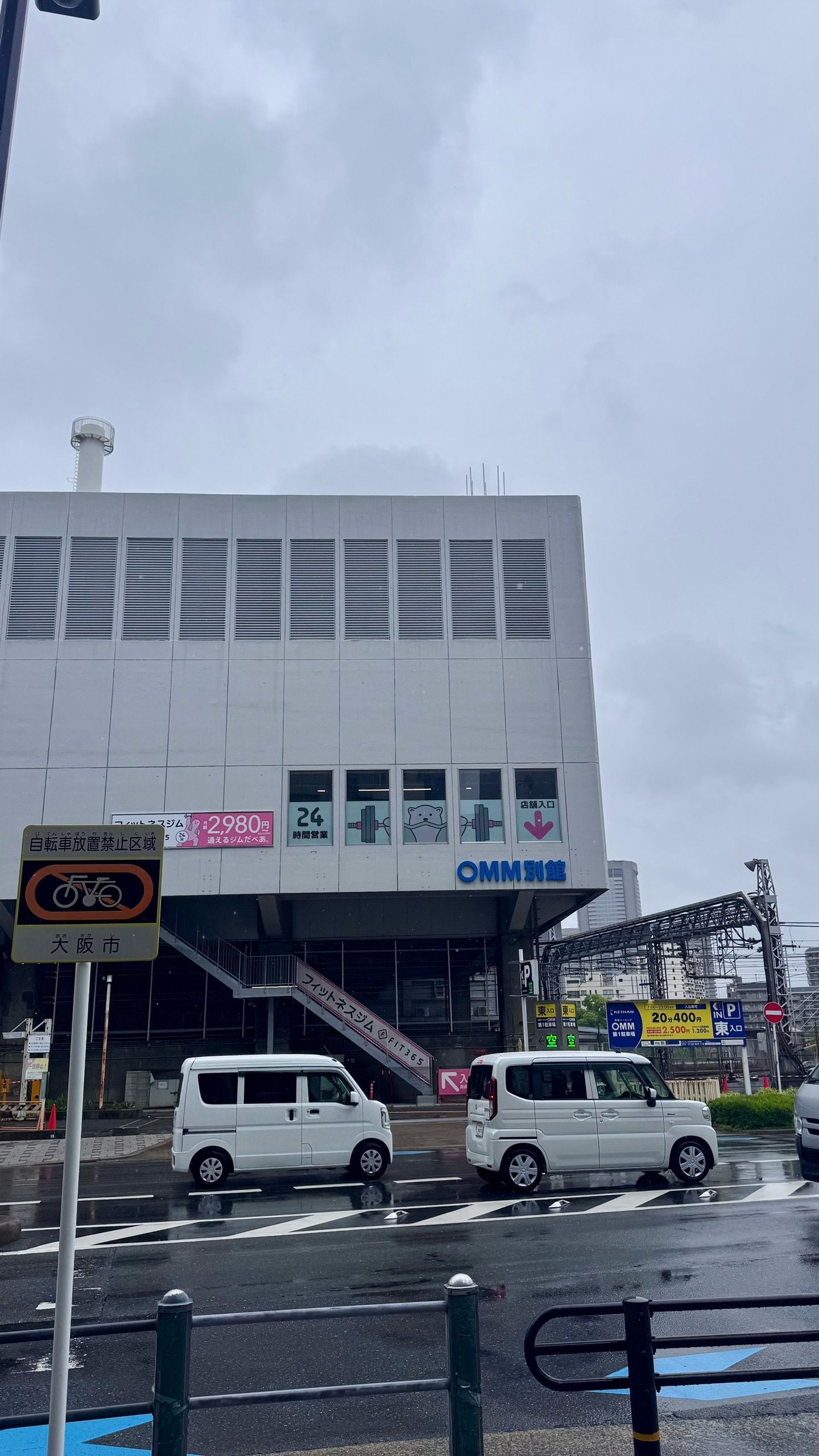 IMG_4353.jpeg