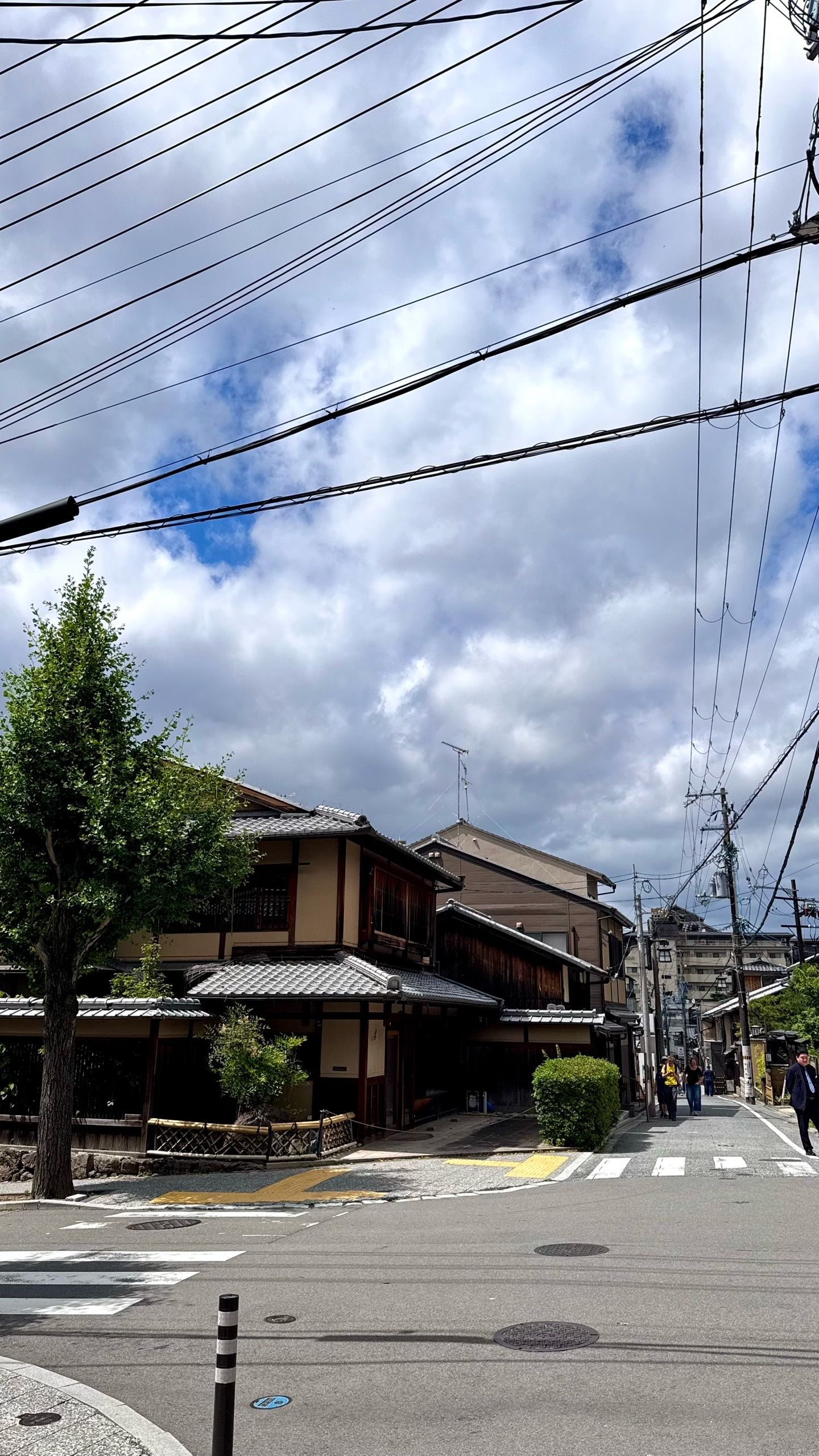 IMG_4379.jpeg