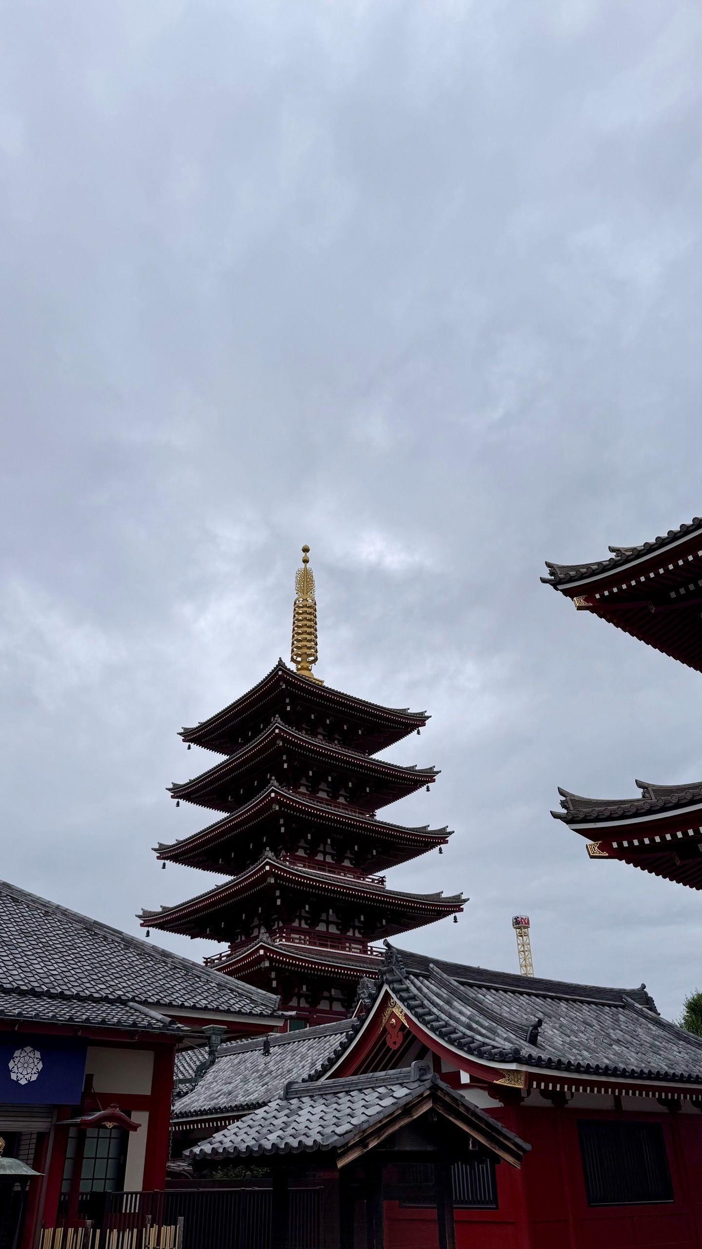 IMG_4412.jpeg