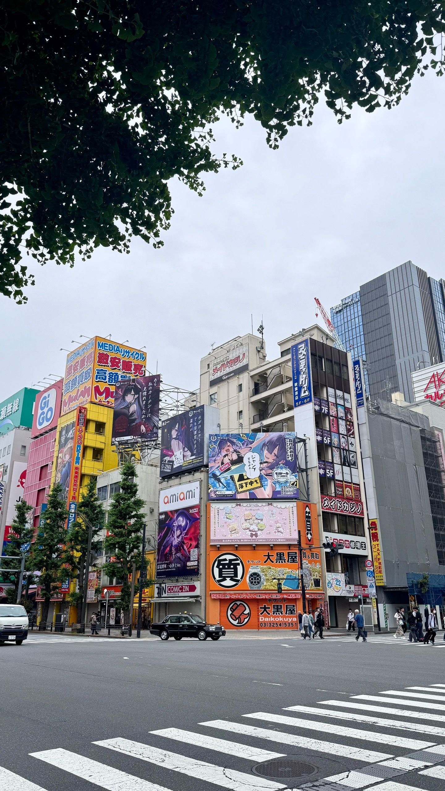 IMG_4413.jpeg
