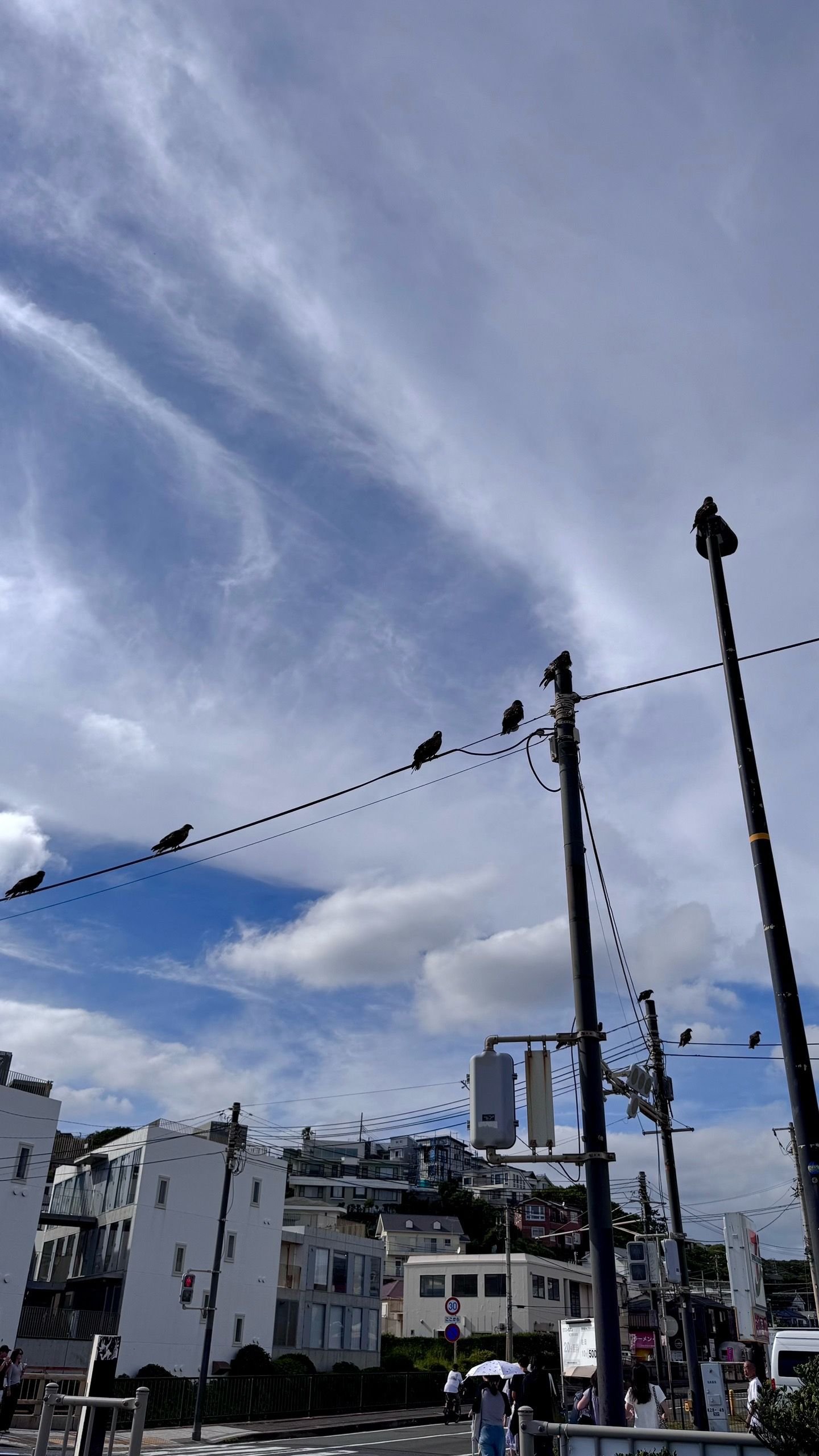 IMG_4424.jpeg